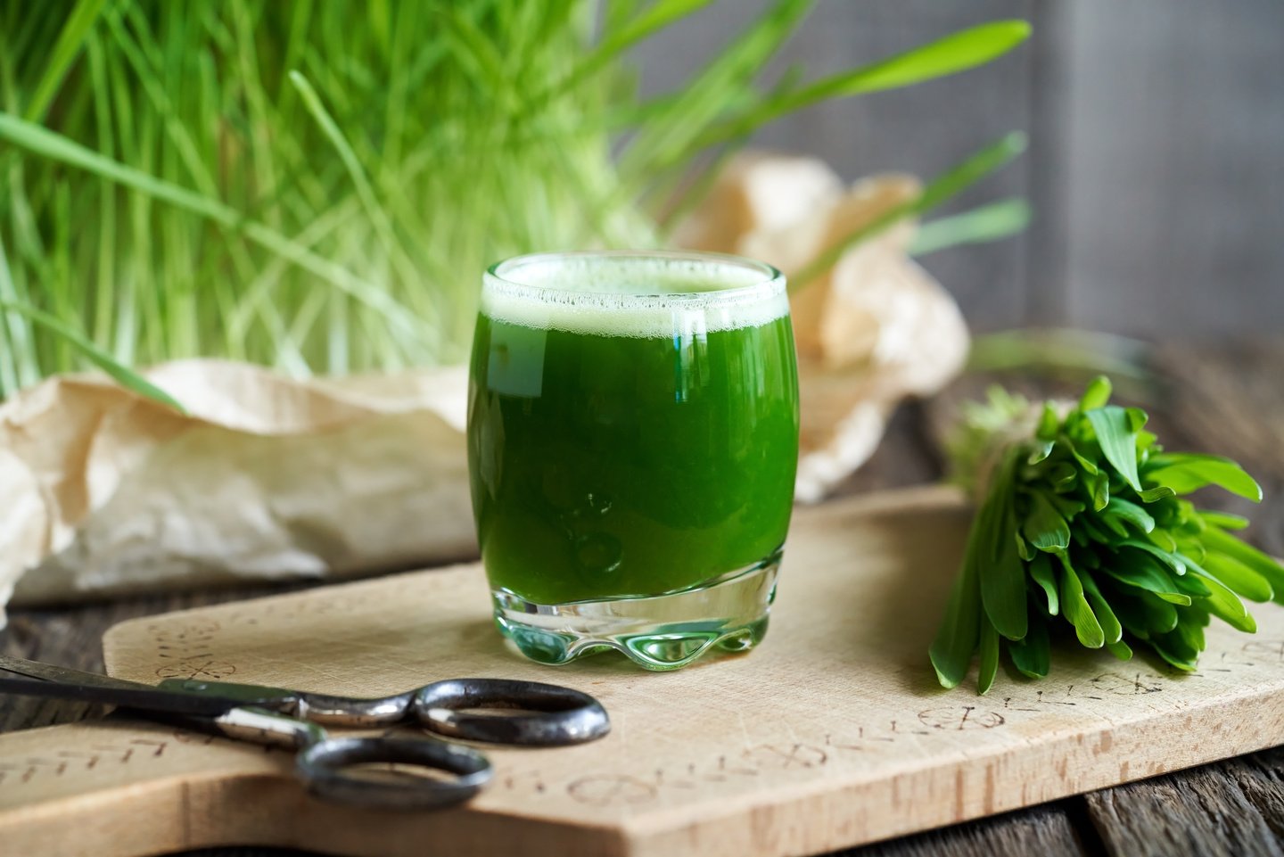 A glass of young green barley grass juice